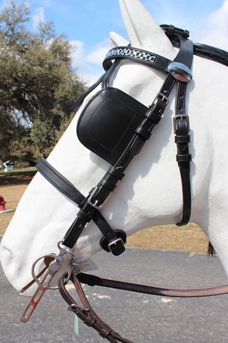 Luxe Leather Bridle