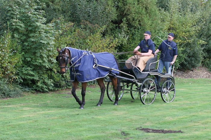 Driving Blanket with Neck - Water resistant